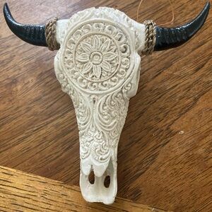 Small 6” resin cowskull